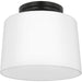Adley Flush Mount-Flush Mounts-Progress Lighting-Lighting Design Store