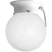 Glass Globes Flush Mount-Flush Mounts-Progress Lighting-Lighting Design Store