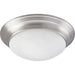 Alabaster Glass Flush Mount-Flush Mounts-Progress Lighting-Lighting Design Store