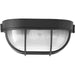 Bulkheads Flush Mount-Exterior-Progress Lighting-Lighting Design Store