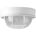 Bulkheads Flush Mount-Exterior-Progress Lighting-Lighting Design Store