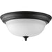 Two Light Close-to-Ceiling-Flush Mounts-Progress Lighting-Lighting Design Store