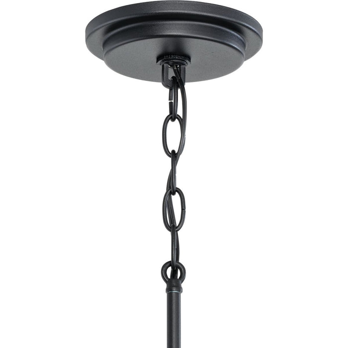 Briarwood Chandelier-Mid. Chandeliers-Progress Lighting-Lighting Design Store