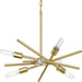 Astra Chandelier-Mid. Chandeliers-Progress Lighting-Lighting Design Store