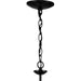 Drum Shade Chandelier-Mid. Chandeliers-Progress Lighting-Lighting Design Store