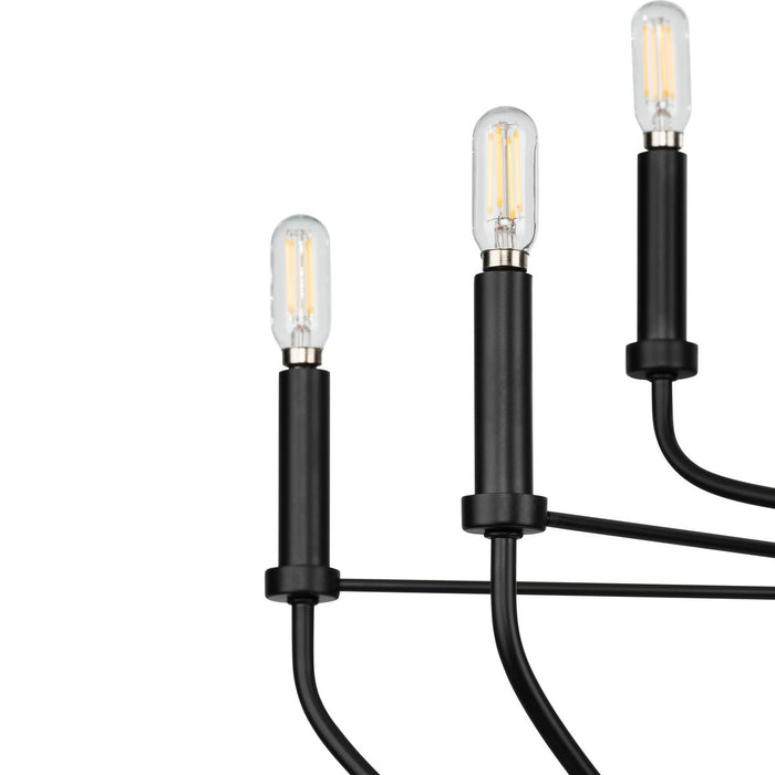 Leyden Chandelier-Mid. Chandeliers-Progress Lighting-Lighting Design Store