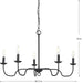 Canebrake Chandelier-Mid. Chandeliers-Progress Lighting-Lighting Design Store