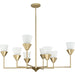 Pinellas Eight Light Chandelier-Large Chandeliers-Progress Lighting-Lighting Design Store