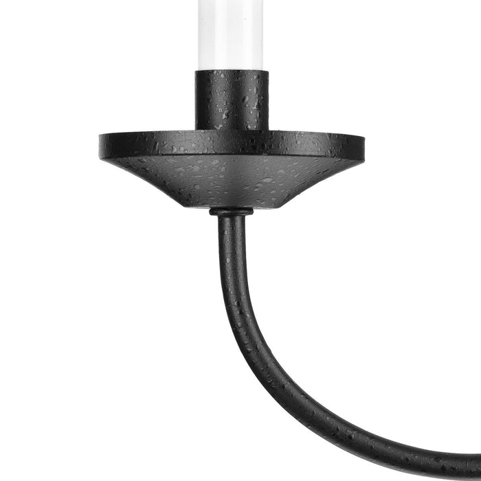 Five Light Chandelier-Mid. Chandeliers-Progress Lighting-Lighting Design Store