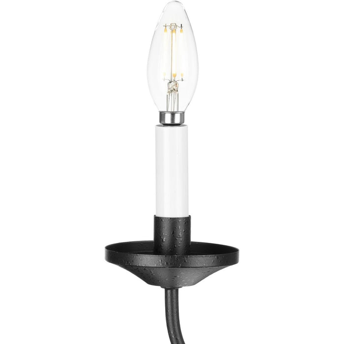 Five Light Chandelier-Mid. Chandeliers-Progress Lighting-Lighting Design Store