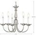 Five Light Chandelier-Mini Chandeliers-Progress Lighting-Lighting Design Store