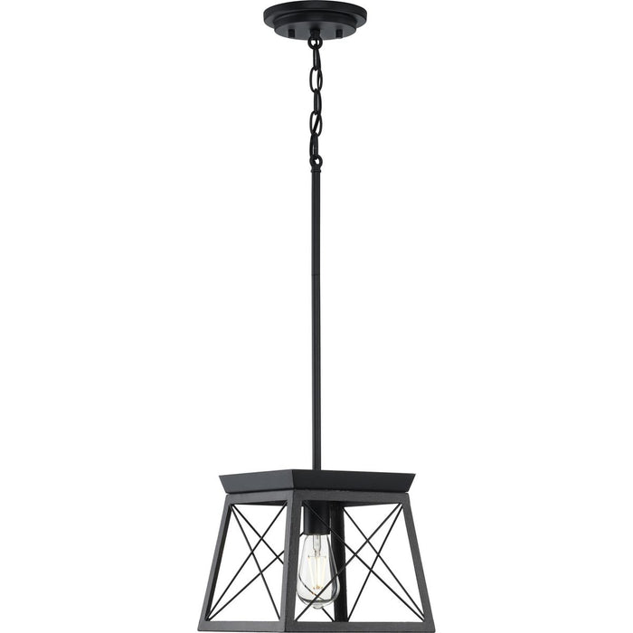 Briarwood Pendant-Mini Pendants-Progress Lighting-Lighting Design Store