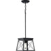 Briarwood Pendant-Mini Pendants-Progress Lighting-Lighting Design Store