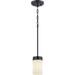 Elevate Mini-Pendant-Mini Pendants-Progress Lighting-Lighting Design Store