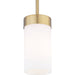 Elevate Mini-Pendant-Mini Pendants-Progress Lighting-Lighting Design Store