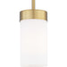 Elevate Mini-Pendant-Mini Pendants-Progress Lighting-Lighting Design Store