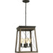 Briarwood Foyer Pendant-Foyer/Hall Lanterns-Progress Lighting-Lighting Design Store