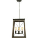 Briarwood Foyer Pendant-Foyer/Hall Lanterns-Progress Lighting-Lighting Design Store