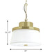 Point Dume-Windbluff Three Light Pendant-Semi-Flush Mts.-Progress Lighting-Lighting Design Store