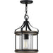 Brenham Outdoor Pendant-Exterior-Progress Lighting-Lighting Design Store