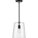 Clarion Pendant-Mini Pendants-Progress Lighting-Lighting Design Store