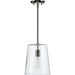 Clarion Pendant-Mini Pendants-Progress Lighting-Lighting Design Store