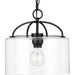Leyden Pendant-Pendants-Progress Lighting-Lighting Design Store