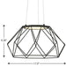 Geodesic LED Pendant-Pendants-Progress Lighting-Lighting Design Store
