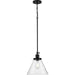 Hinton Pendant-Mini Pendants-Progress Lighting-Lighting Design Store