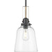 Rushton Pendant-Mini Pendants-Progress Lighting-Lighting Design Store