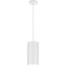 One Light Cord Mount Cylinder-Mini Pendants-Progress Lighting-Lighting Design Store