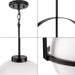 Delayne Pendant-Pendants-Progress Lighting-Lighting Design Store