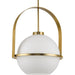 Delayne Pendant-Pendants-Progress Lighting-Lighting Design Store