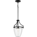 Parkhurst Pendant-Pendants-Progress Lighting-Lighting Design Store