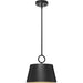 Parkhurst Pendant-Pendants-Progress Lighting-Lighting Design Store