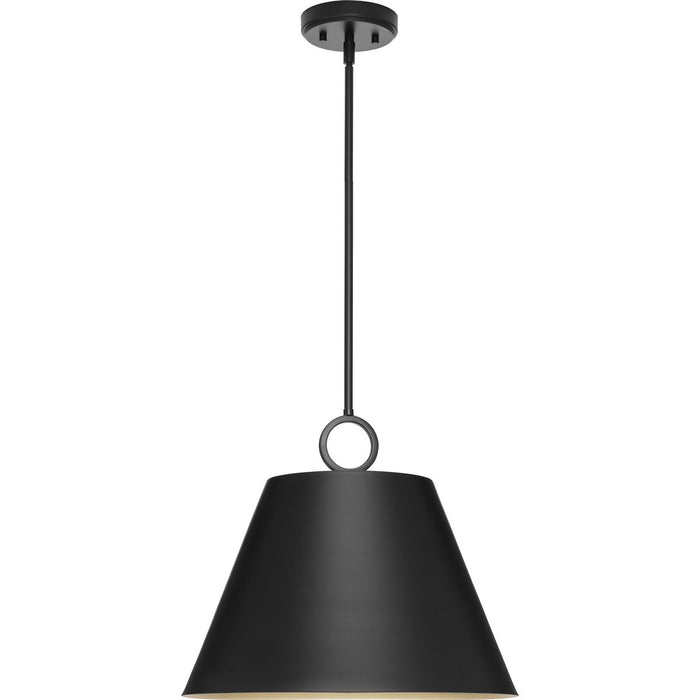 Parkhurst Pendant-Pendants-Progress Lighting-Lighting Design Store