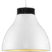 Radian LED Pendant-Pendants-Progress Lighting-Lighting Design Store