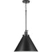 Hinton Pendant-Pendants-Progress Lighting-Lighting Design Store