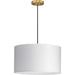 Markor Pendant-Pendants-Progress Lighting-Lighting Design Store