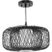 Cordova Pendant-Pendants-Progress Lighting-Lighting Design Store