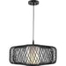 Cordova Pendant-Pendants-Progress Lighting-Lighting Design Store