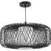 Cordova Pendant-Pendants-Progress Lighting-Lighting Design Store