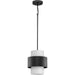Silva Pendant-Pendants-Progress Lighting-Lighting Design Store