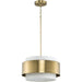 Silva Pendant-Pendants-Progress Lighting-Lighting Design Store