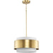Silva Pendant-Pendants-Progress Lighting-Lighting Design Store