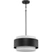 Silva Pendant-Pendants-Progress Lighting-Lighting Design Store