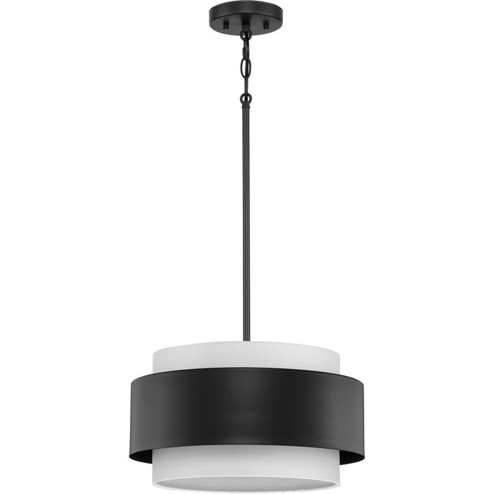 Silva Pendant-Pendants-Progress Lighting-Lighting Design Store