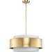 Silva Pendant-Pendants-Progress Lighting-Lighting Design Store