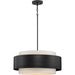 Silva Pendant-Pendants-Progress Lighting-Lighting Design Store