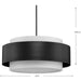 Silva Pendant-Pendants-Progress Lighting-Lighting Design Store